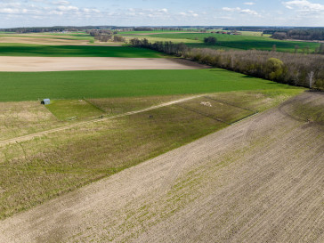 Działka Sprzedaż Żabno