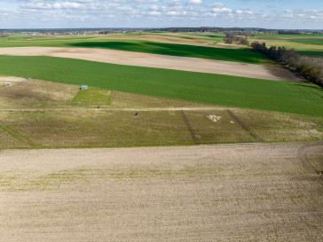 Działka Sprzedaż Żabno