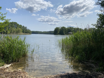 Działka Sprzedaż Przybiernów