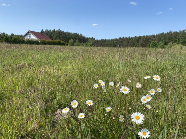 Działka Sprzedaż Przybiernów