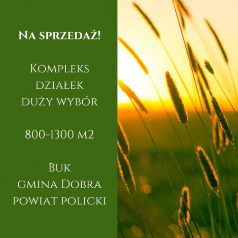 Działka Sprzedaż Buk 2