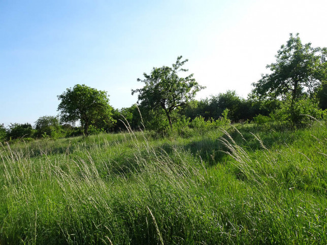 Działka Sprzedaż Binowo 13