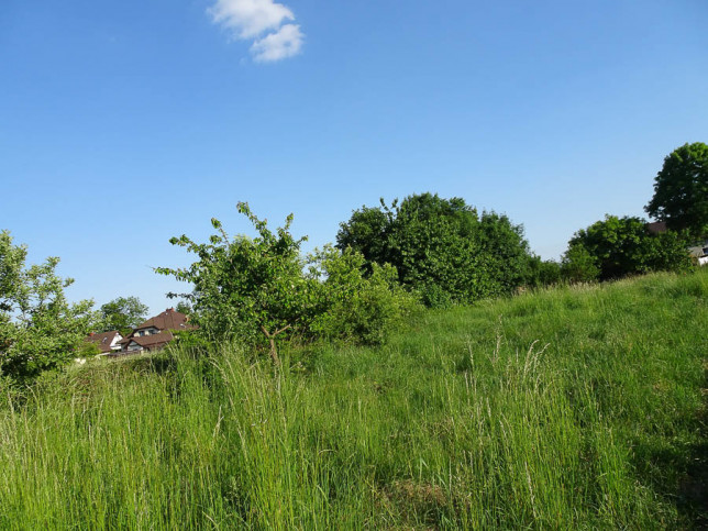 Działka Sprzedaż Binowo 15