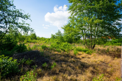 Działka Sprzedaż Rurzyca