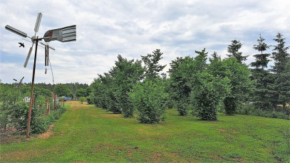 Działka Sprzedaż Podlesie