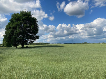 Działka Sprzedaż Mieruniszki