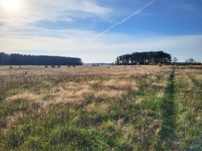 Działka Sprzedaż Białuń 6