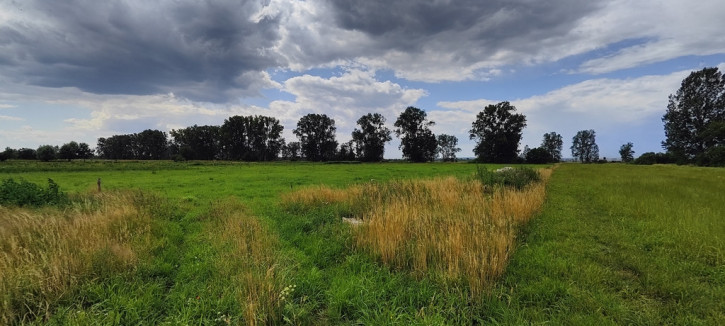 Działka Sprzedaż Rurzyca 2