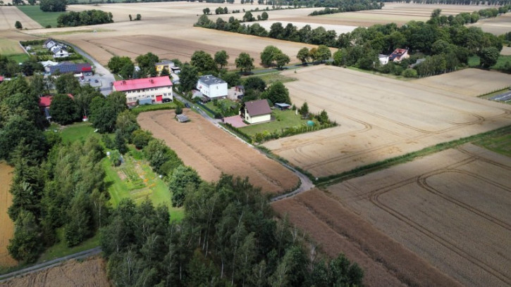 Działka Sprzedaż Warnice 1