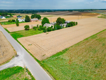 Działka Sprzedaż Krebsówka