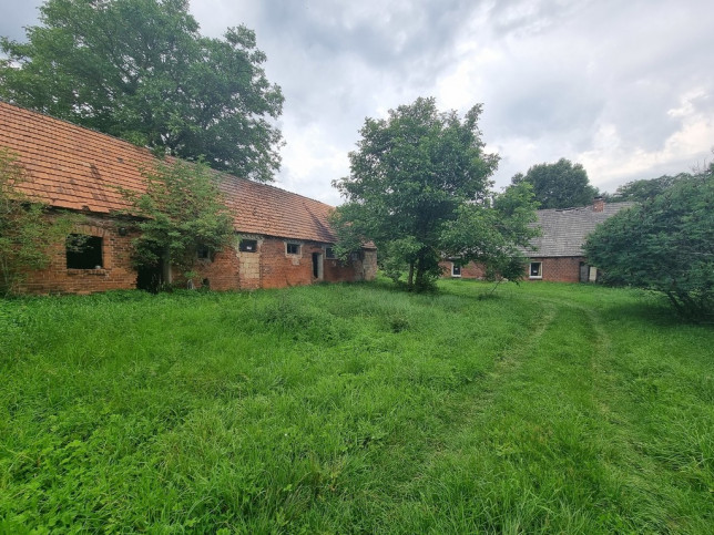 Dom Sprzedaż Wierzchówko 6