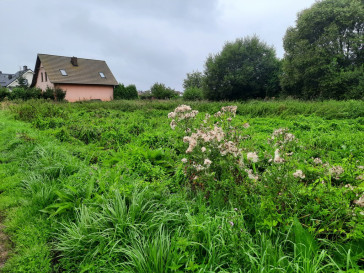 Działka Sprzedaż Czarna Łąka