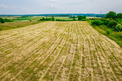 Działka Sprzedaż Rusinowo