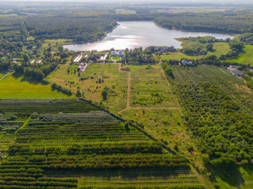 Działka Sprzedaż Binowo