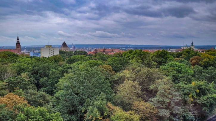 Mieszkanie Sprzedaż Szczecin Centrum Jana Matejki 4