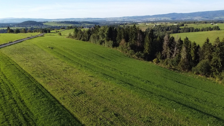 Działka Sprzedaż Leśnica Sądel 6