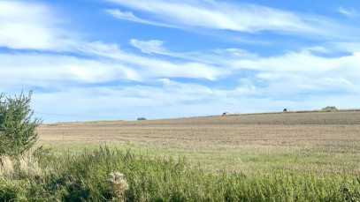 Działka Sprzedaż Siadło Górne