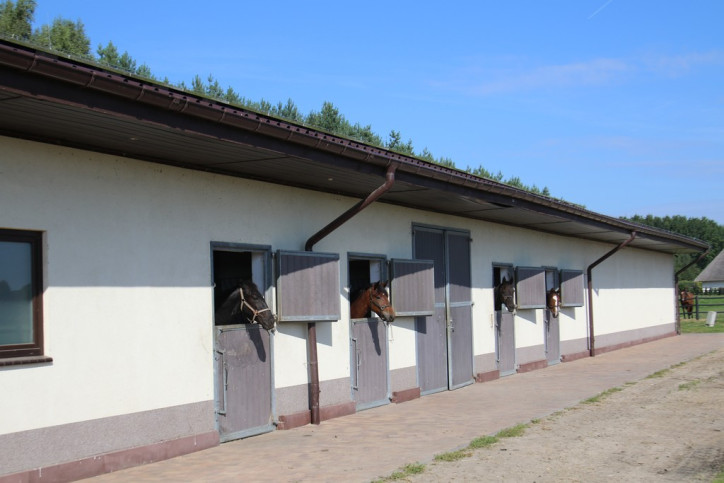 Inwestycja Dobropole 11