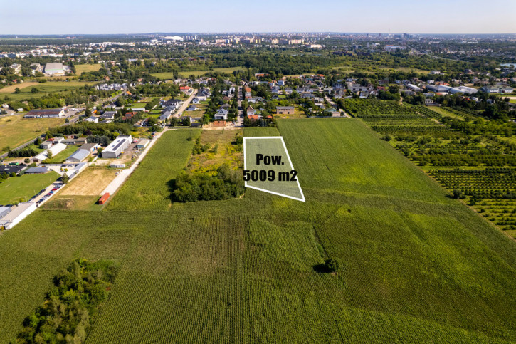 Działka Sprzedaż Poznań Poznań-Grunwald 5