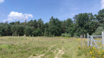 Działka Sprzedaż Kościno