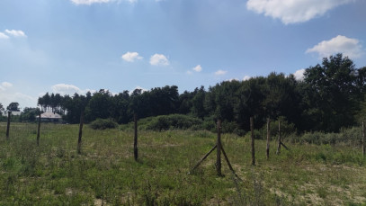 Działka Sprzedaż Kościno