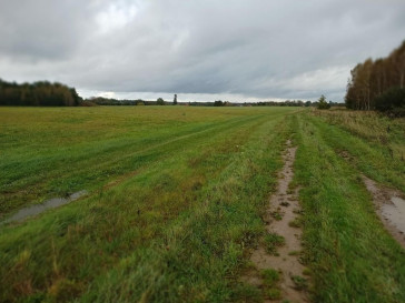 Działka Sprzedaż Stary Kraków