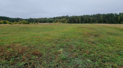 Działka Sprzedaż Borki Słowiańska