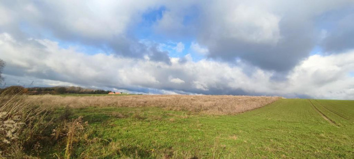 Działka Sprzedaż Goleniów 3