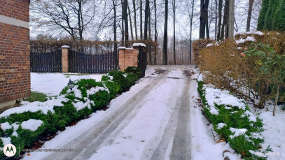 Dom Sprzedaż Zaleszczyce Popiele