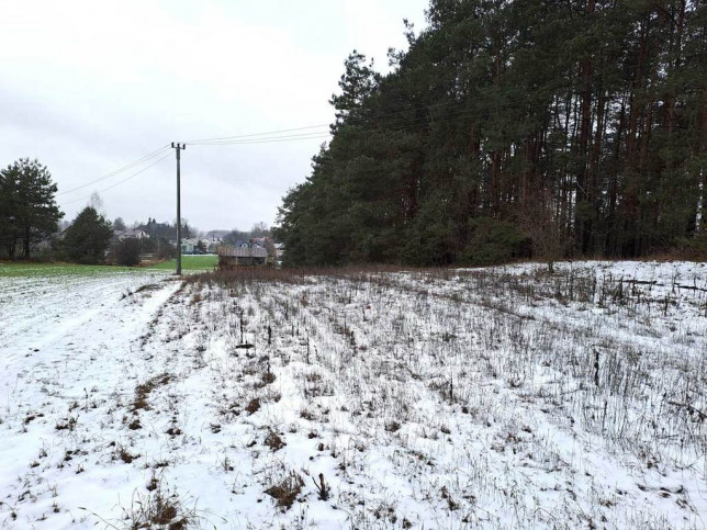 Działka Sprzedaż Jeruzal 3