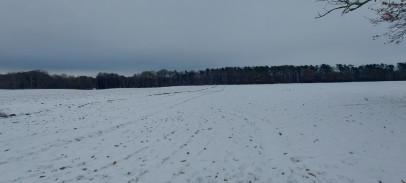 Działka Sprzedaż Budzieszowce