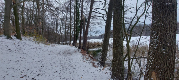 Działka Sprzedaż Budzieszowce 5