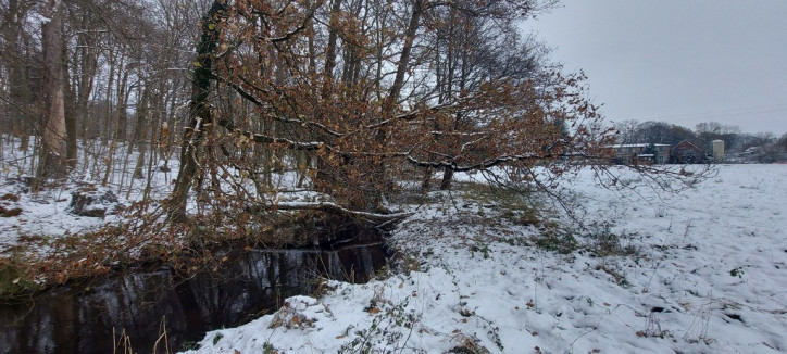 Działka Sprzedaż Budzieszowce 4