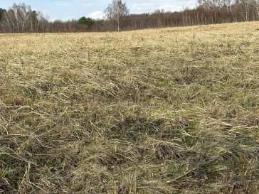 Działka Sprzedaż Storkowo