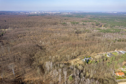 Działka Sprzedaż Szczecin Płonia