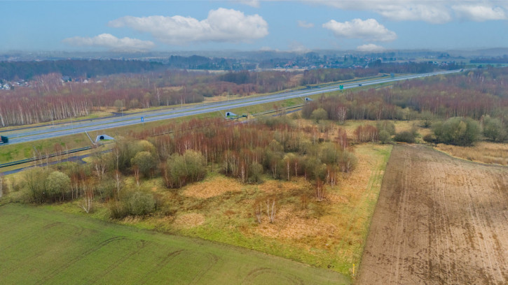 Działka Sprzedaż Stare Bielice 7