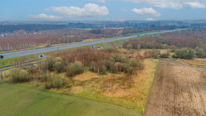 Działka Sprzedaż Stare Bielice