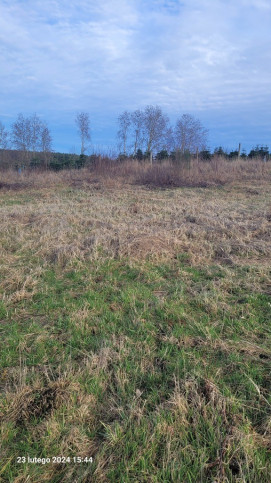 Działka Sprzedaż Zieleniewo 3