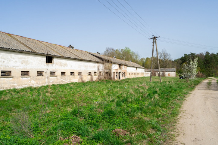 Działka Sprzedaż Skandławki 5