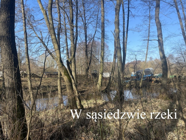 Działka Sprzedaż Mieszewo 8