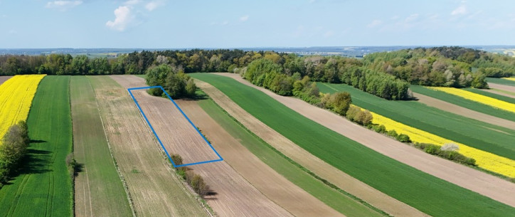 Działka Sprzedaż Piotrków Pierwszy 1