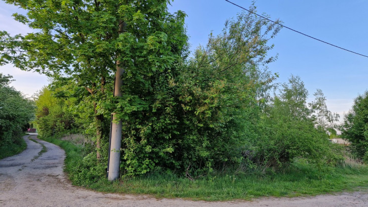 Działka Sprzedaż Dębina Pańska 4