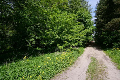 Działka Sprzedaż Waleriany