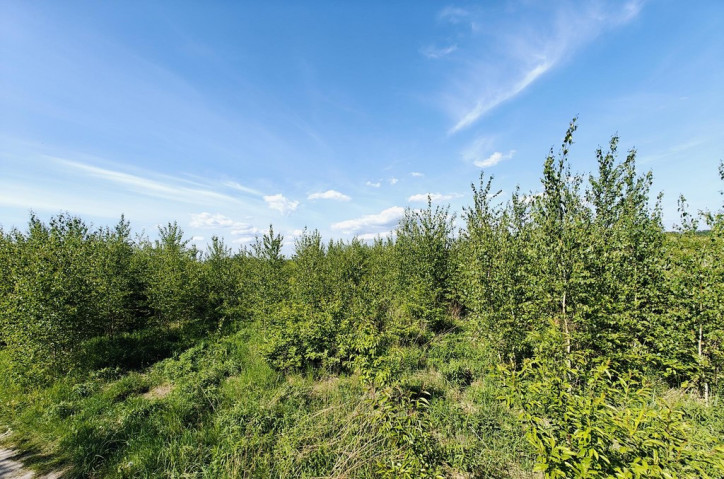 Działka Sprzedaż Goleniów 9