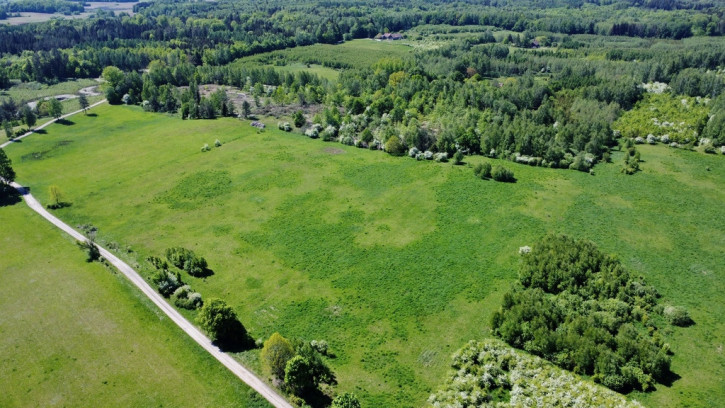 Działka Sprzedaż Studzianka 4