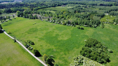 Działka Sprzedaż Studzianka