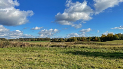 Działka Sprzedaż Studzianka