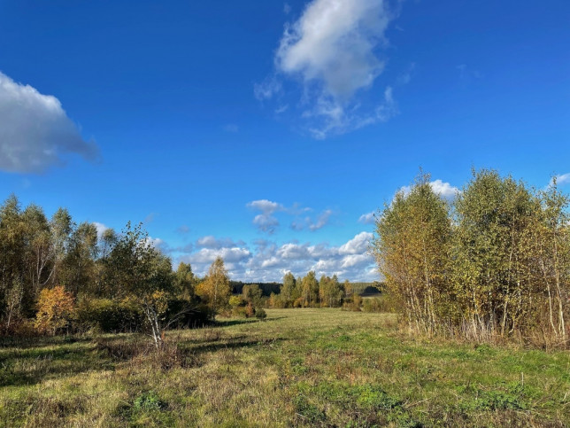 Działka Sprzedaż Studzianka 9