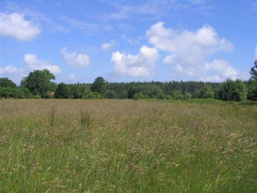 Działka Sprzedaż Kodrąbek