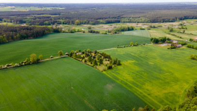 Działka Sprzedaż Biała Góra